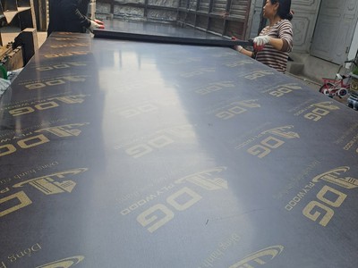 Ván ép phủ phim tại Hà Nội 5