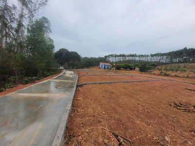   một bước chân   vạn kết nối: đầu tư lô đất cực chiến ngay hôm nay 1