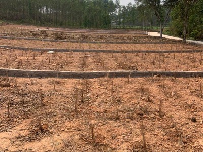   muốn giàu từ đất   phải chọn đúng thời điểm   vị trí vàng 3