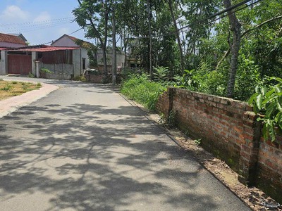 Bán đất đầu tư kd xây biệt thự thôn 4 phú cát full thổ 686m giá rẻ nhỉnh 20tr 0