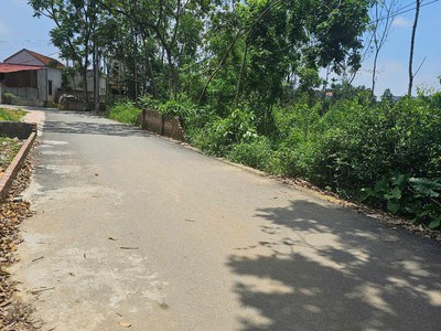 Bán đất đầu tư kd xây biệt thự thôn 4 phú cát full thổ 686m giá rẻ nhỉnh 20tr 1
