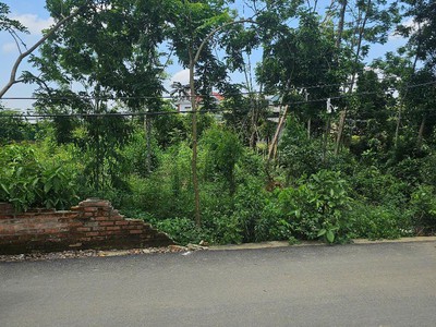Bán đất đầu tư kd xây biệt thự thôn 4 phú cát full thổ 686m giá rẻ nhỉnh 20tr 4