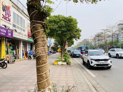 Mảnh đất rộng   giá đầu tư   ngõ thông   phù hợp xây tòa nhà căn hộ    vị trí:  ngô gia tự, 1