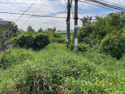956m2 đất vườn mặt tiền tỉnh lộ 824, xã Lương Hòa, Bến Lức, Long An giá 7 tỷ 1