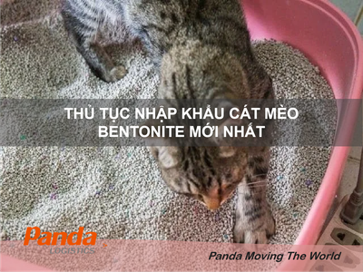 Thủ tục nhập khẩu Cát Mèo Bentonite mới nhất 0