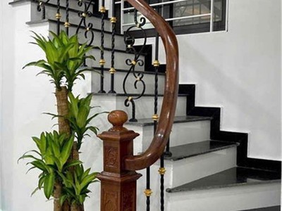 Bán nhà ngõ gốc đề to như phố giá 24,5 tỉ dọn vào ở ngay 1