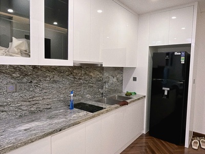 Cho thuê căn 2 ngủ 2 vệ sinh Diamond giá cực tốt 1