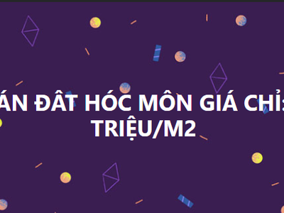 Tôi cần bán - đất Hóc Môn, giá chỉ: 2 triệu/m . 5