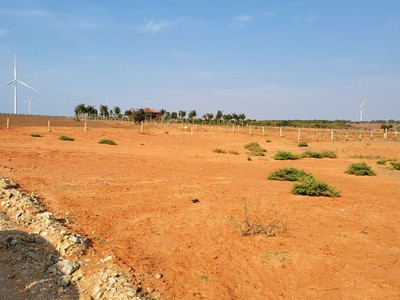 Tôi cần bán đất view biển Bàu Trắng, Phan Thiết 6