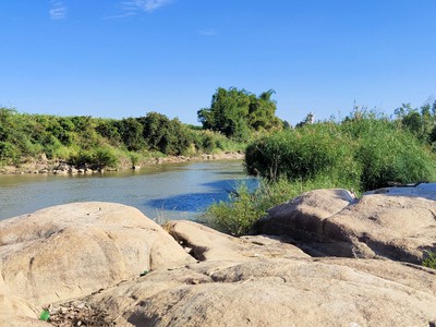 Tôi cần bán - đất view hồ Sông Lũy, Bình Thuận 2