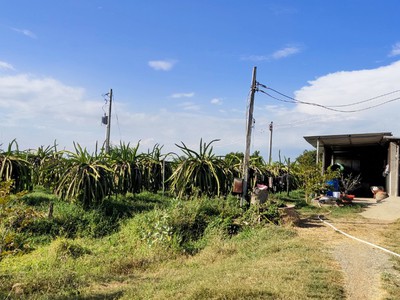 Tôi cần bán - đất view hồ Sông Lũy, Bình Thuận 3