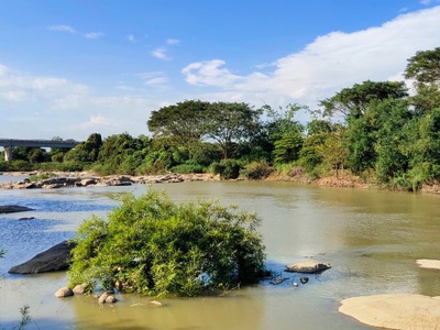 Tôi cần bán - đất view hồ Sông Lũy, Bình Thuận 1