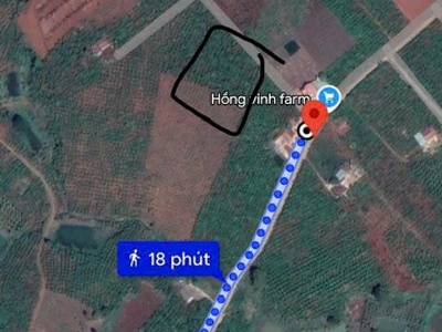 Đất đẹp - giá tốt - chủ cần bán nhanh  - vị trí tại :  xã tân hà - huyện lâm hà - tỉnh lâm đồng 4