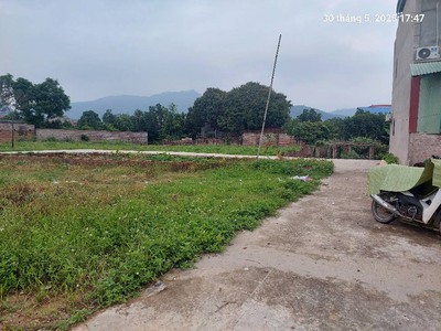 Đất minh phú 136m2, mt7.8m, 2.38 tỷ, sóc sơn, ô tô. 2