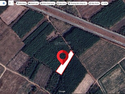 Bán 2007m2 đất sẵn sổ giá rẻ nhất khu vực lê hồng phong-nhơn trạch 2