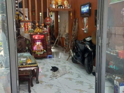 Siêu phẩm 4 tầng    an dương vương- hẻm - 10m  xe tăng chạy bon bon   hàng xóm văn minh lịch sự - 2