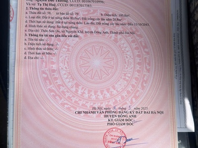 Sở hữu ngay lô đất đẹp - giá tốt - vị trí đắc địa tại sơn du, nguyên khê, đông anh, tphn 4