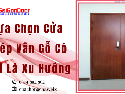 Lựa Chọn Cửa Thép Vân Gỗ Có Phải Là Xu Hướng 0