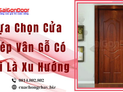 Lựa Chọn Cửa Thép Vân Gỗ Có Phải Là Xu Hướng 1