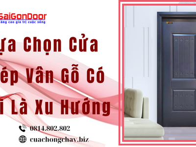 Lựa Chọn Cửa Thép Vân Gỗ Có Phải Là Xu Hướng 2