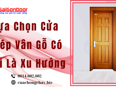 Lựa Chọn Cửa Thép Vân Gỗ Có Phải Là Xu Hướng 3