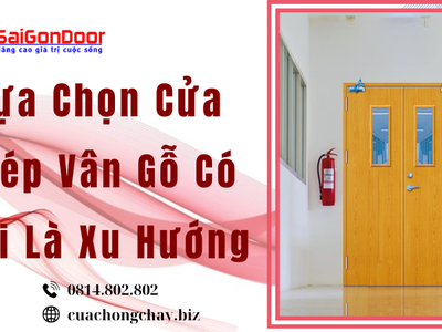 Lựa Chọn Cửa Thép Vân Gỗ Có Phải Là Xu Hướng 4