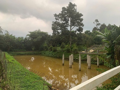 Bán lô đất nghỉ dưỡng cực đẹp tại lộc an   có nhà sẵn, view hồ, vườn trái cây 4