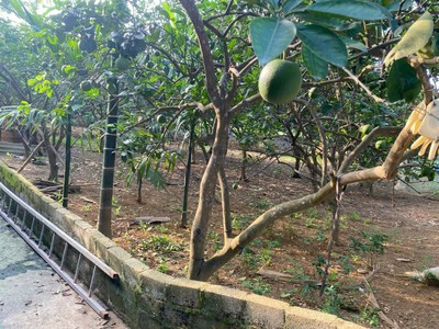 Lô đất vị trí đẹp- giá đầu tư chính chủ cần bán nhanh lô đất tại huyện chương my, tp hà nội 0