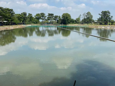 Đồng nai   sang nhượng lại hồ câu cá giải trí đang hoạt động bình thường, có sẵn lượng khách quen. 1