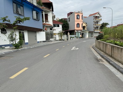 Đất mặt tiền đê Vàng 80,5m2, View sông Đuống, ô tô tránh, an sinh đỉnh 1