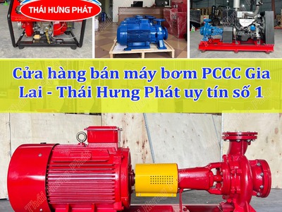 Cửa hàng bán máy bơm PCCC nhập khẩu tại tỉnh Gia Lai 0