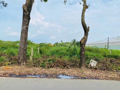 Bán Đất Thổ Cư Huyện Củ Chi 155m2 Giá Chỉ 550TR SHR ,Thái Mỹ , Củ Chi 0