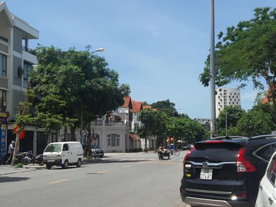 Nhà vườn 38 tỷ 120m mặt phố bùi thiện ngộ,kinh doanh đỉnh,long biên hà nội 1