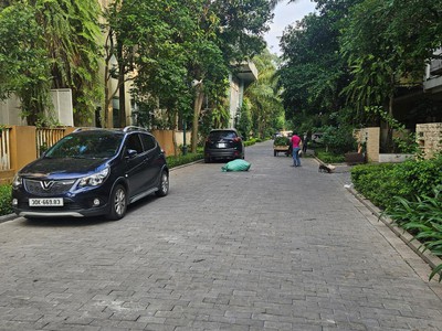 Biệt thự 39 tỷ 148m kdt việt hưng,long biên hà nội 0