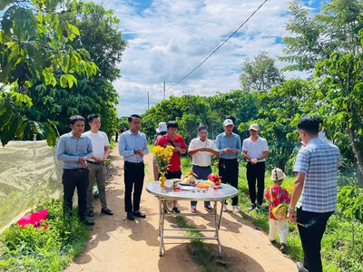 Sở hữu ngay lô đất đẹp - giá tốt - vị trí đắc địa tại tân văn, lâm hà, lâm đồng 2