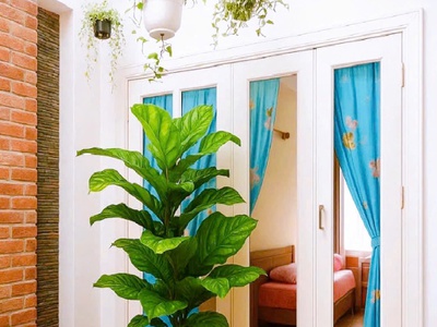 Bán nhà cách mạng tháng tám, quận 3, dt 5.2 x 18 m, hẻm xe hơi, giá 25 tỷ 2