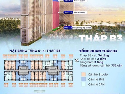 Bán căn hộ 3 tỷ cao cấp khai thác 500 tr/năm 99,9 viwe biển vũng tàu - hcm 0