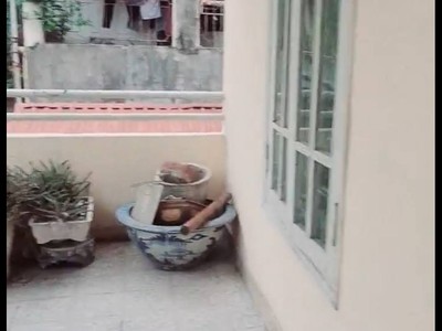 Cho thuê nhà ngõ 225 minh khai, 4 tầng x 53m2, 4 ngủ, 15.5 triệu/tháng 2