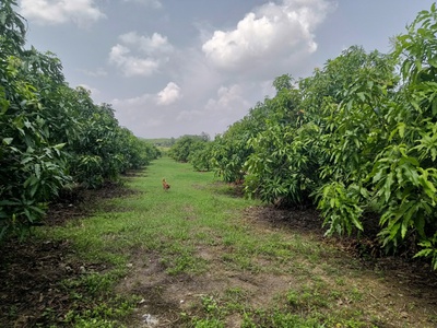 Bán lô đất tại phú lý, huyện vĩnh cửu, đồng nai. 4