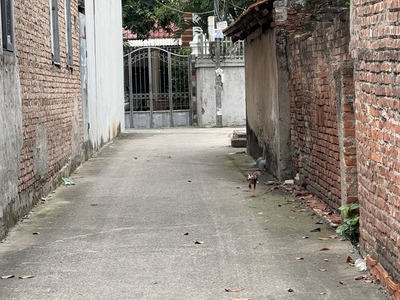 Cần bán 100m2 đất thôn Đại Bản, Gia Lâm. Cách hồ 20m, cách 100m ra đường Dương Đức Hiển  QL17 2