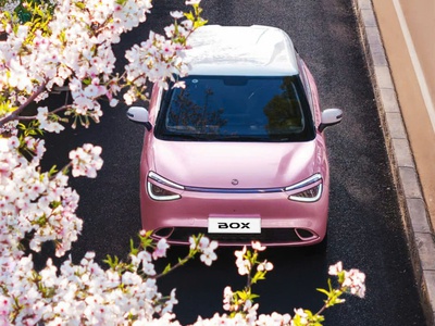 Dongfeng Box - Thiết Kế Sang Trọng - Xe Điện Thế Hệ Mới. 499tr 0