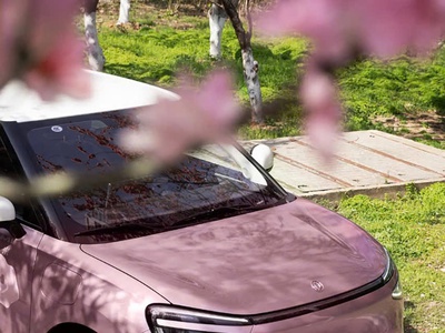 Dongfeng Box - Thiết Kế Sang Trọng - Xe Điện Thế Hệ Mới. 499tr 1