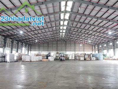 Nhất việt logistic   cho thuê kho tại bình dương 3