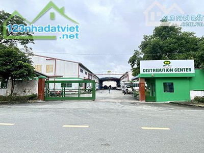 Nhất việt logistic   cho thuê kho tại bình dương 4