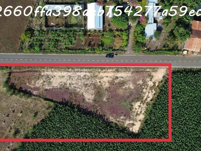 Vị trí vàng mới của tp.hcm   long tân, trung tâm logistics   cảng   sân bay 0