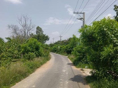 Chính chủ cần bán lô đất tại phú lý, huyện vĩnh cửu, tỉnh đồng nai. 0