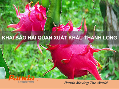 Khai báo hải quan xuất khẩu Thanh Long 0