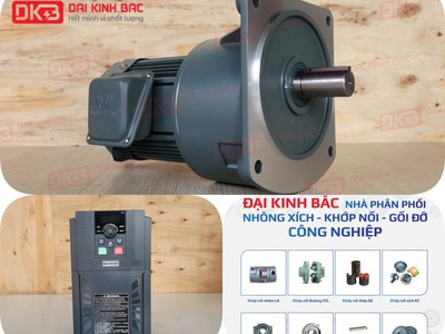 Động cơ điện giảm tốc gv40-1500w-120s 0