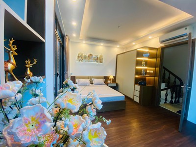 Nhà đẹp ở xuân thủy -phân lô - ô tô - lô góc 2 mặt ngõ - 2 thoáng - vew đh báo chí tuyên truyền - 2