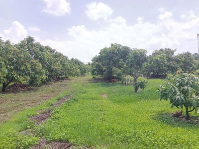 Chính chủ mình cần bán lô đất tại phú lý, huyện vĩnh cửu, tỉnh đồng nai. 2